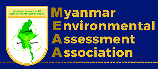MEAA Logo